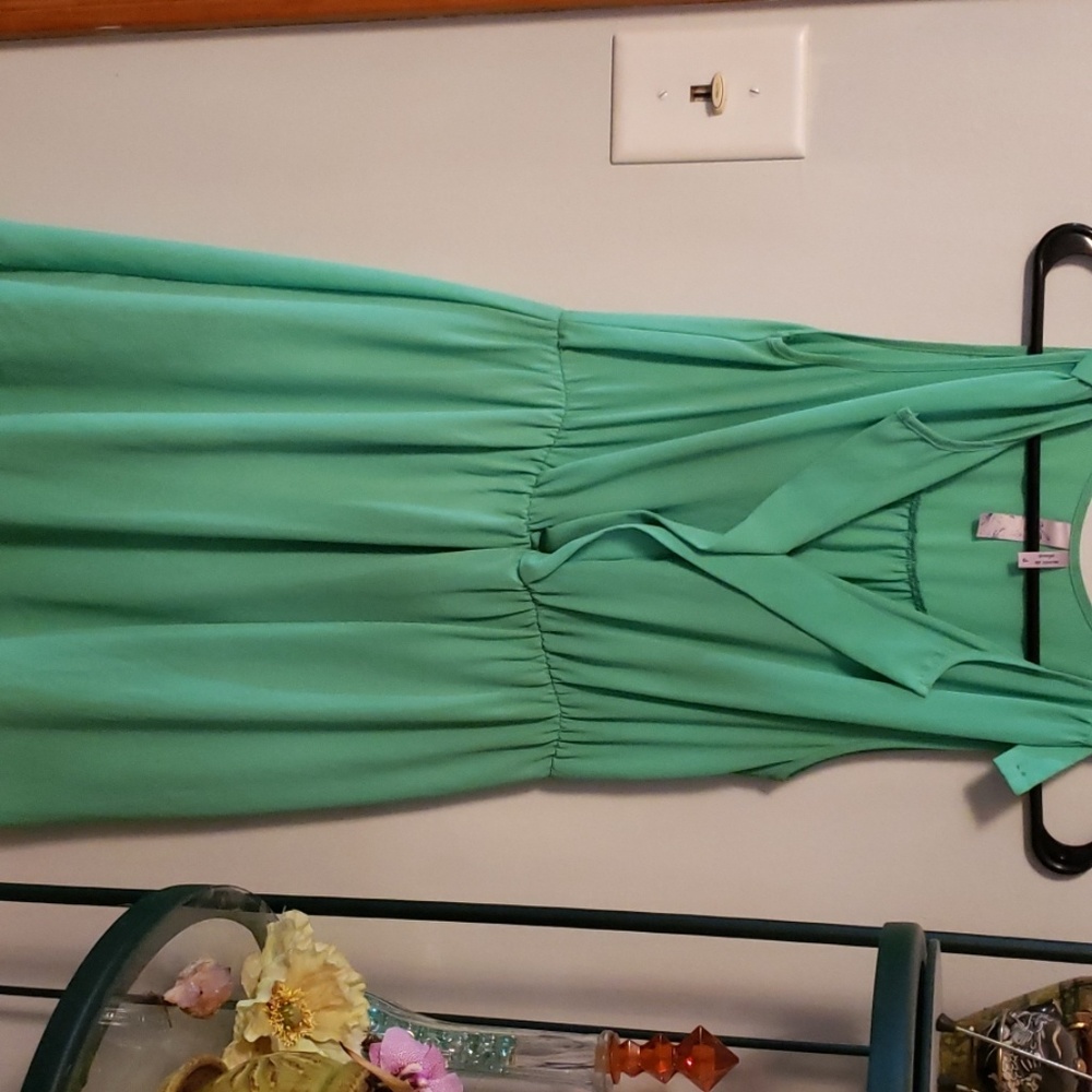 Small francescas mint dress